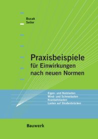 Publikation  Bauwerk; Praxisbeispiele für Einwirkungen nach neuen Normen; Eigen- und Nutzlasten, Wind- und Schneelasten, Kranbahnlasten, Lasten auf Straßenbrücken 1.1.2007 Ansicht